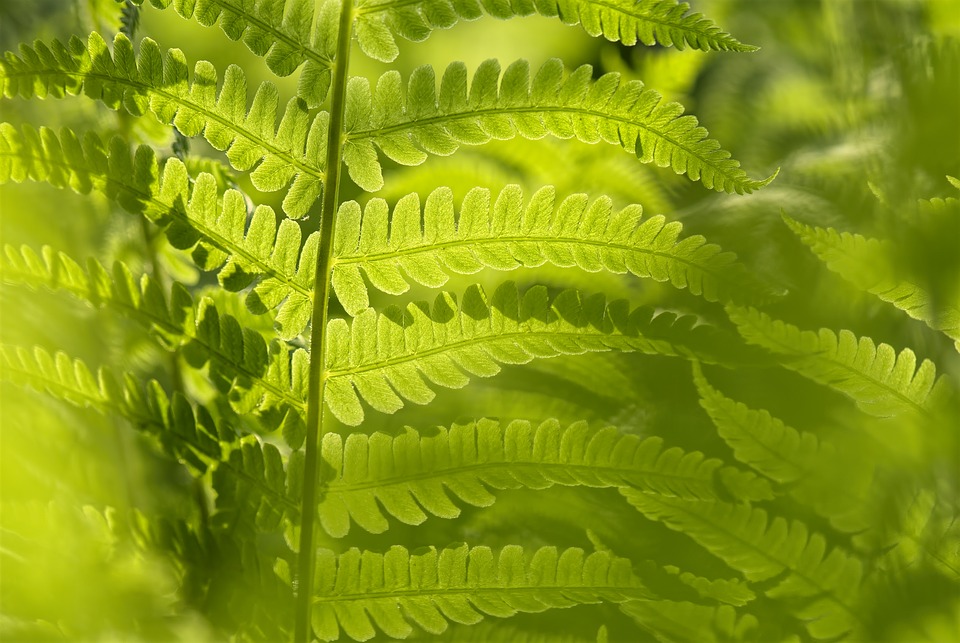 Maison : changez d’air sans faire mal à la nature