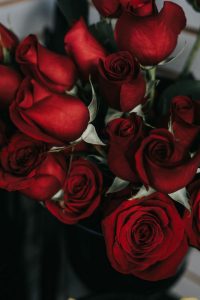 rose saint valentin