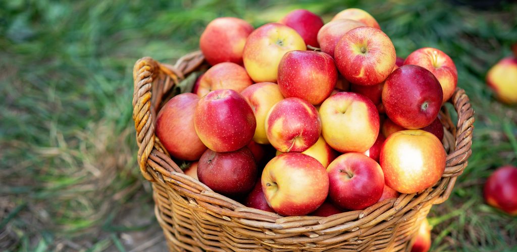 Pommes dans un panier